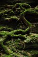 /album/krajinky/img-1061-jpg/