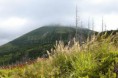/album/krajinky/img-0591-jpg/